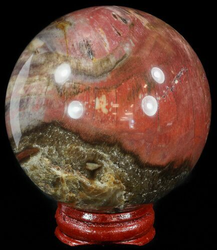 Colorful Petrified Wood Sphere #49744